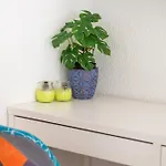 Ocean Garden 公寓 卡亚俄萨尔瓦赫